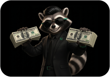 Raccoon Suit
